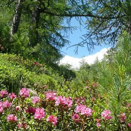 Am Vogelwald Apartment Saas-Fee