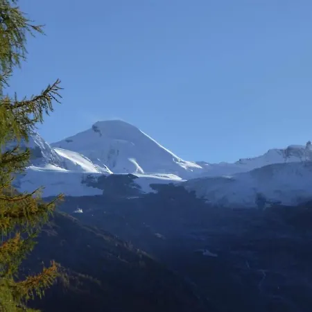 Am Vogelwald Saas-Fee
